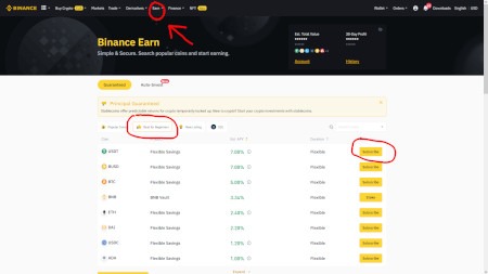 Rente Binance Earn